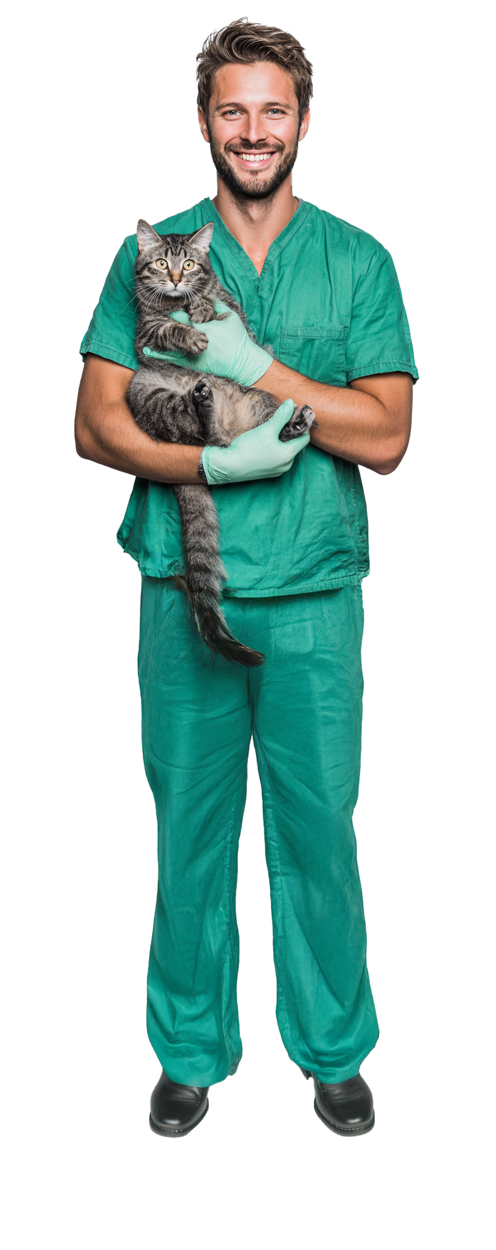 Metodología y Evaluación